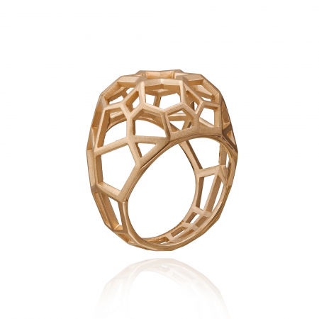 Geometric Ring